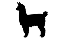 Load image into Gallery viewer, ZZZ Shapes A-L 3