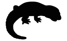 Load image into Gallery viewer, ZZZ Shapes A-L 2