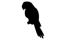 Load image into Gallery viewer, ZZZ Shapes M-Z 2