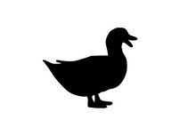 Load image into Gallery viewer, ZZZ Animals