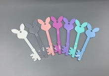 Load image into Gallery viewer, Easter Bunny Magic Key Blank